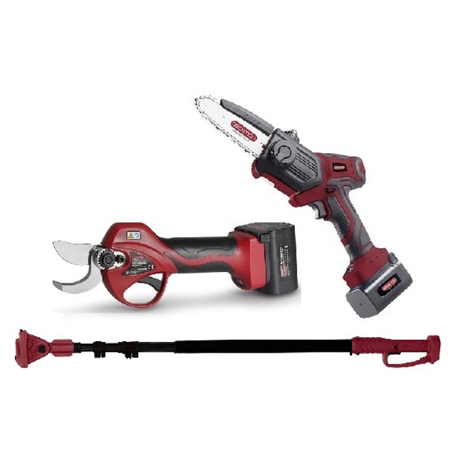 Vendita online Forbice a batteria FE08-32+potatore PE02SB+asta teles.AT1521